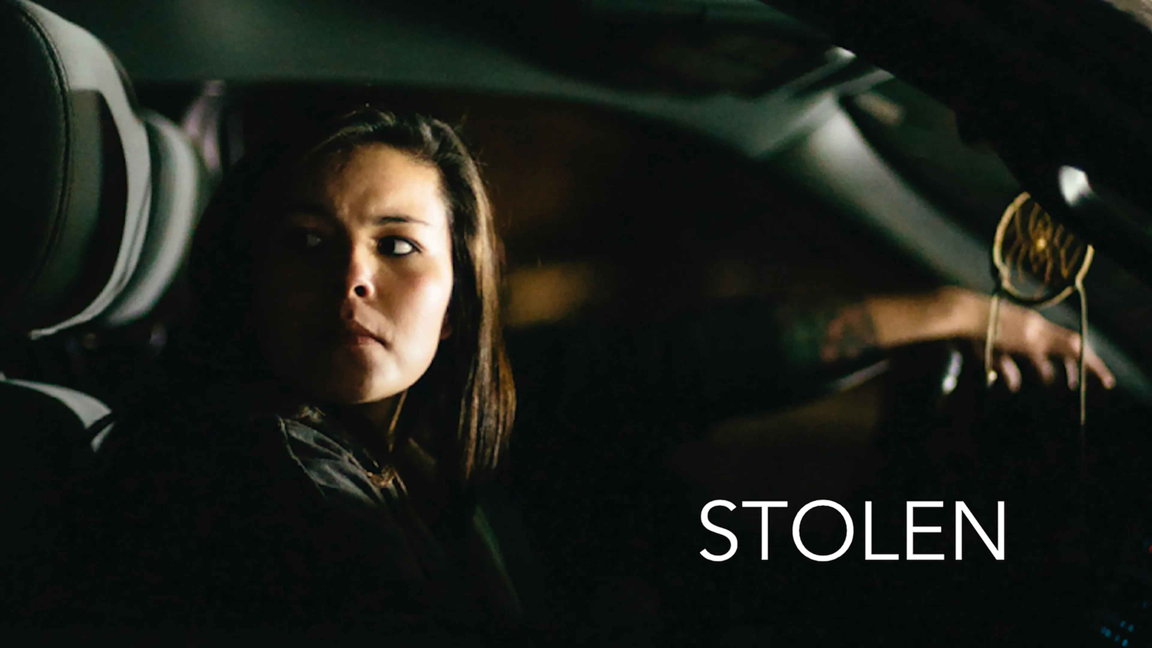 Stolen poster